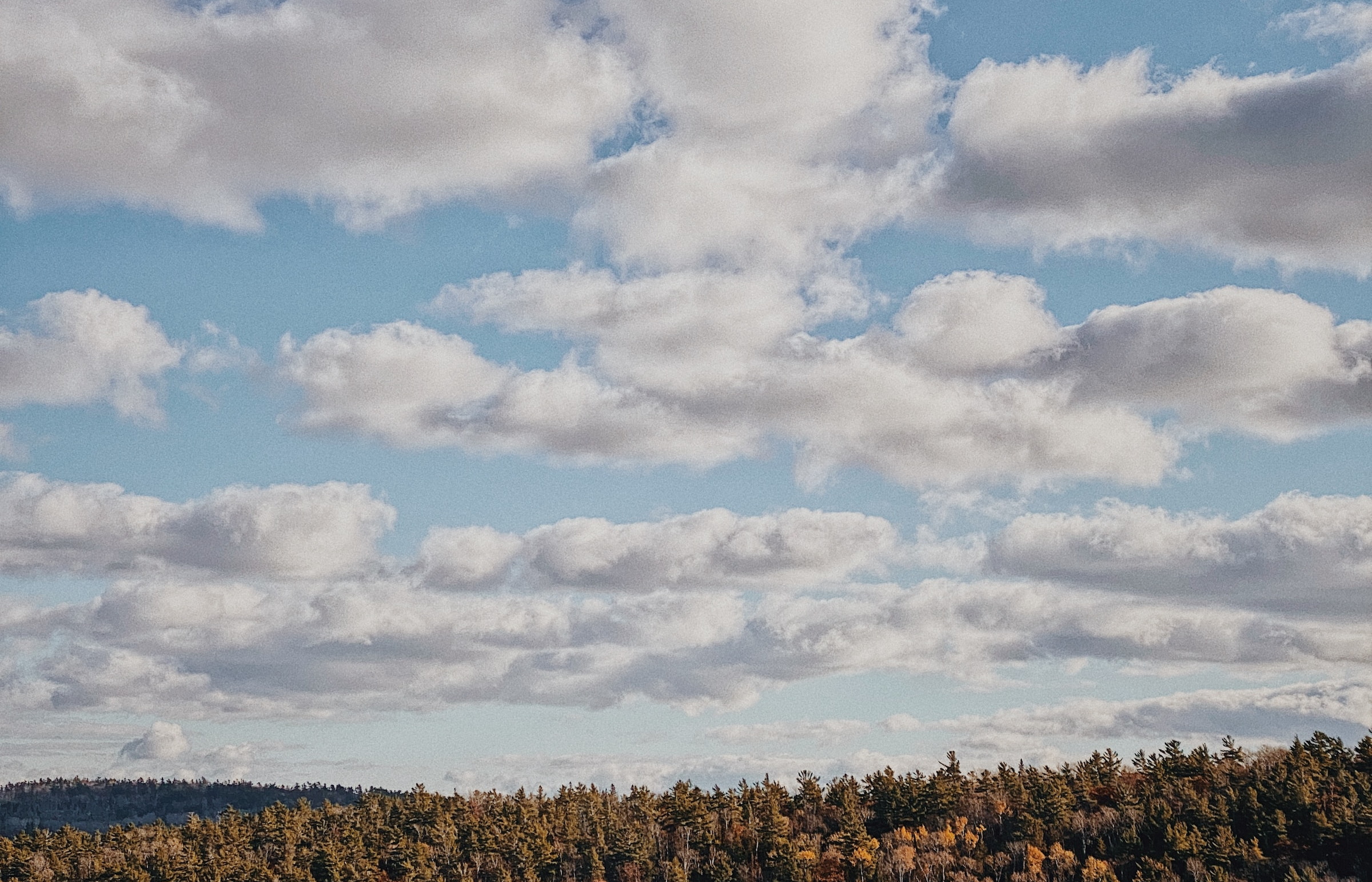 Cumulus clouds in early in the morning are a warning of things to come.