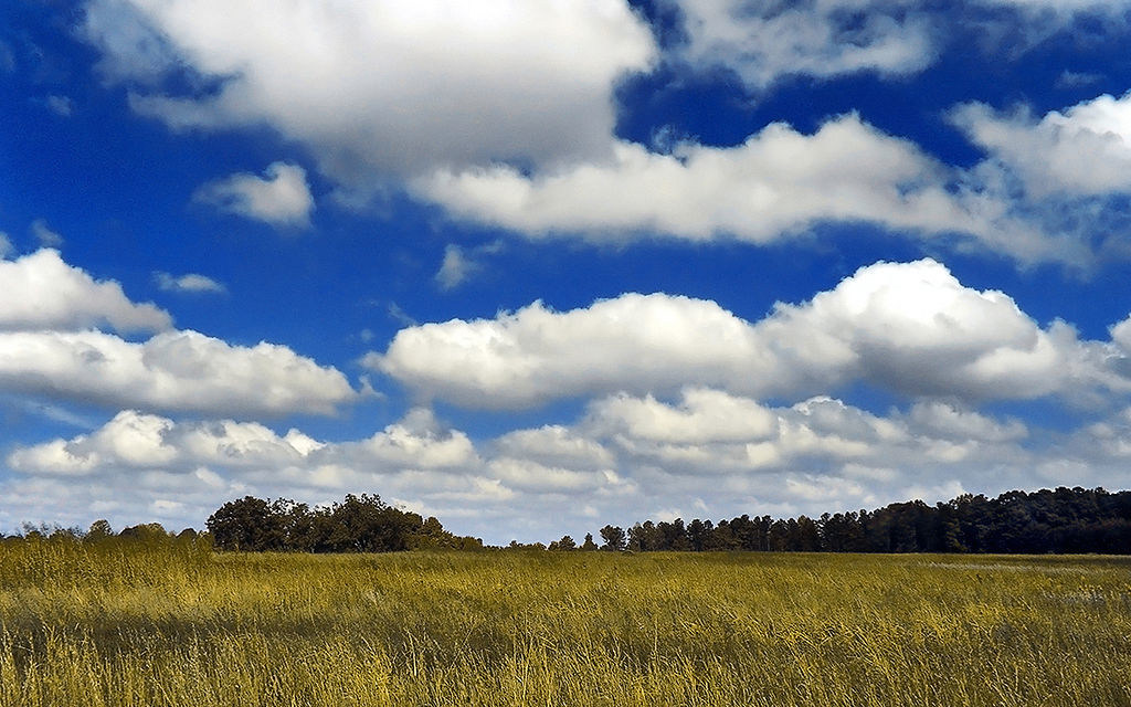 Fair weather clouds over England.